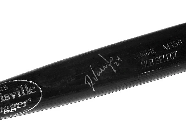 DAYAN VICIEDO AUTOGRAPHED BAT (WHITE SOX) W/ PROOF! - Spring Training Used Bat!