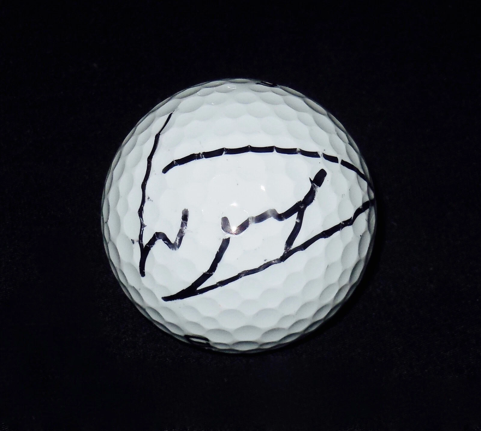 LUKE DONALD AUTOGRAPHED USED GOLF BALL (PGA) W/ COA!