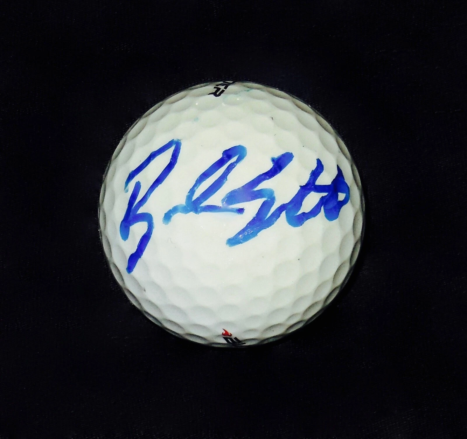 BRENDAN STEELE AUTOGRAPHED USED GOLF BALL (PGA) W/ COA!