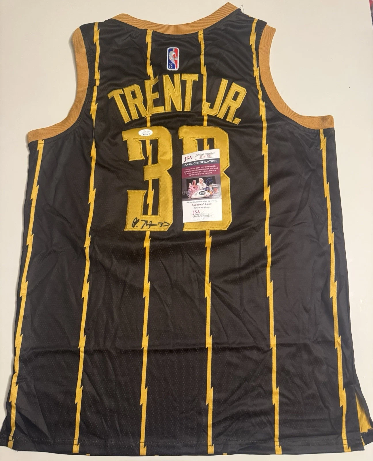 Gary Trent Jr. Toronto Raptors Autographed Jersey JSA COA