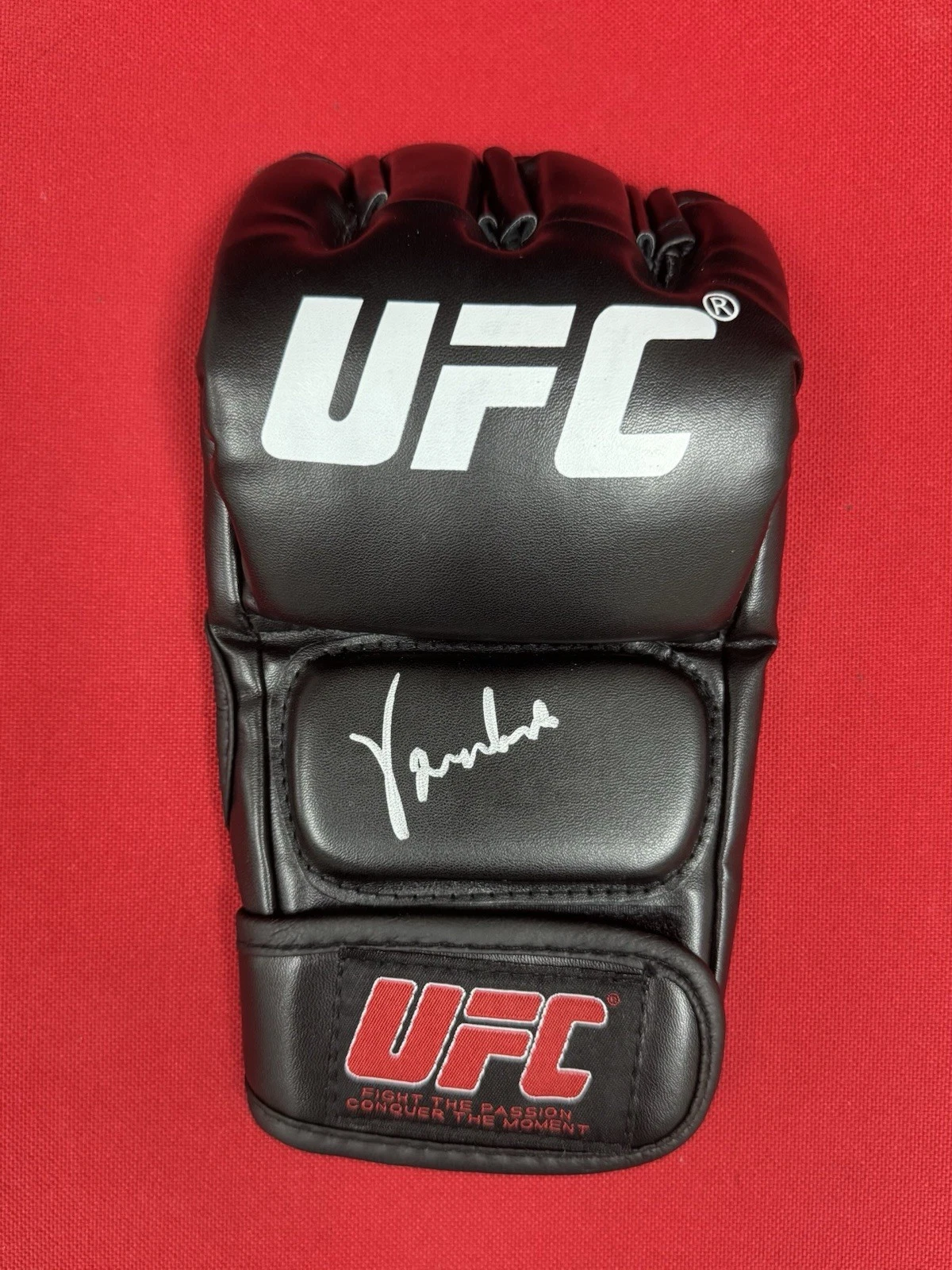 Virna Jandiroba Fighter Autographed UFC MMA Glove Beckett BAS COA