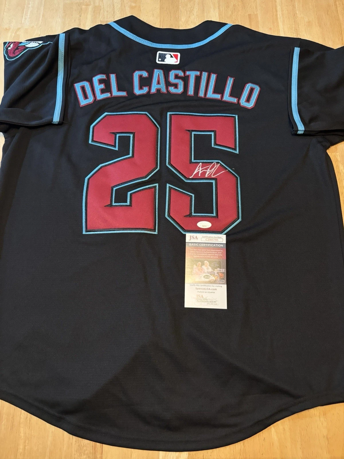 ADRIAN DEL CASTILLO Signed Autographed Arizona  DIAMONDBACKS Jersey. JSA Coa