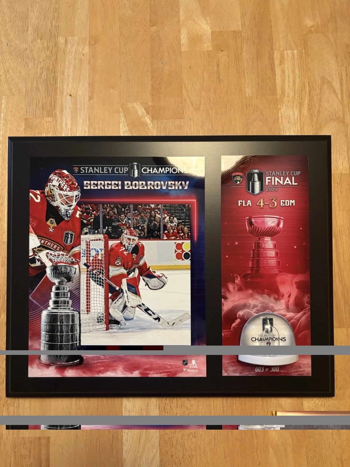 Sergei Bobrovsky Florida Panthers Fanatics  Game Used Ice 2024 Stanley Cup Final