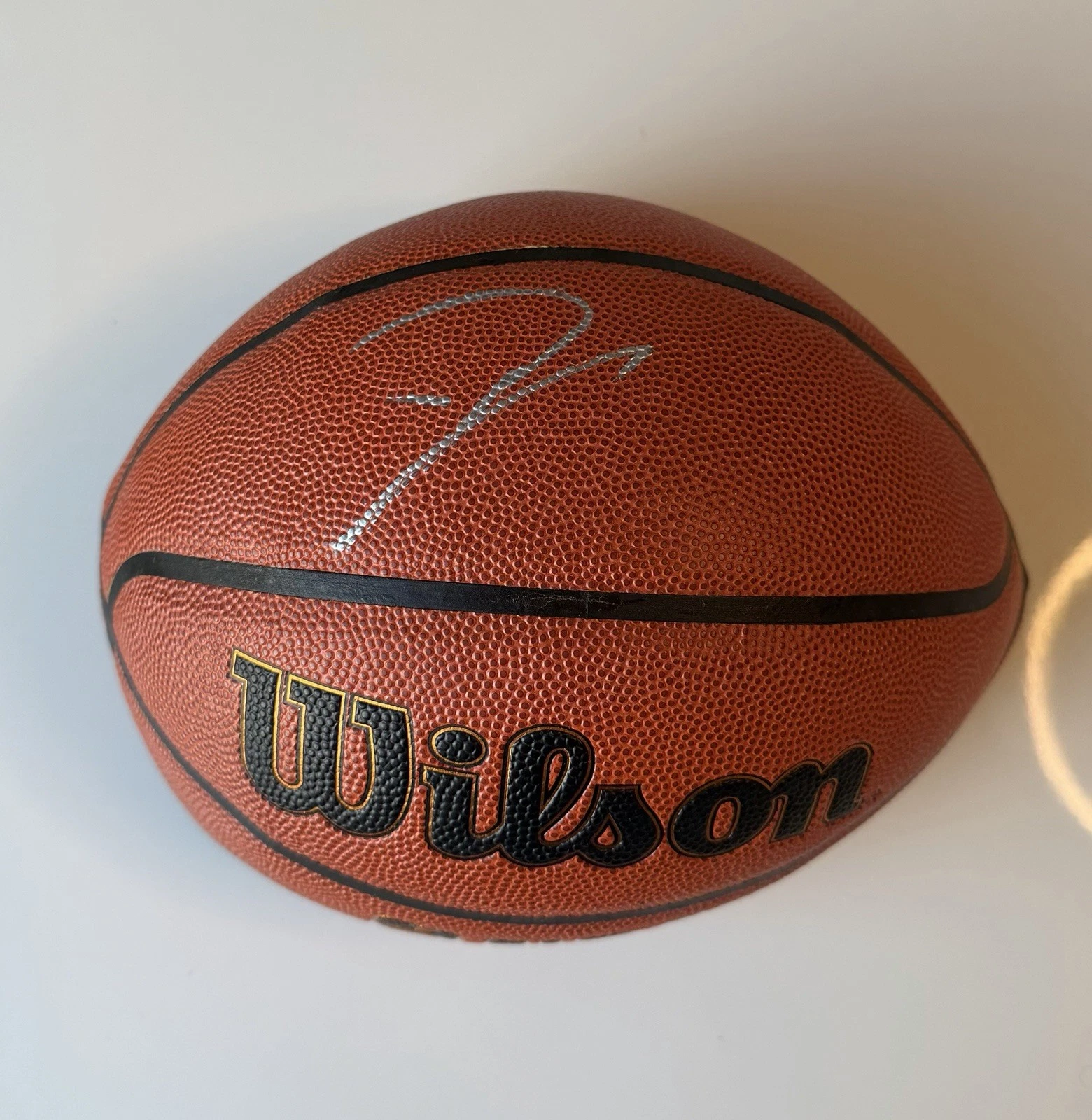 Giannis Antetokounmpo Milwaukee Bucks Autographed Wilson Basketball JSA COA