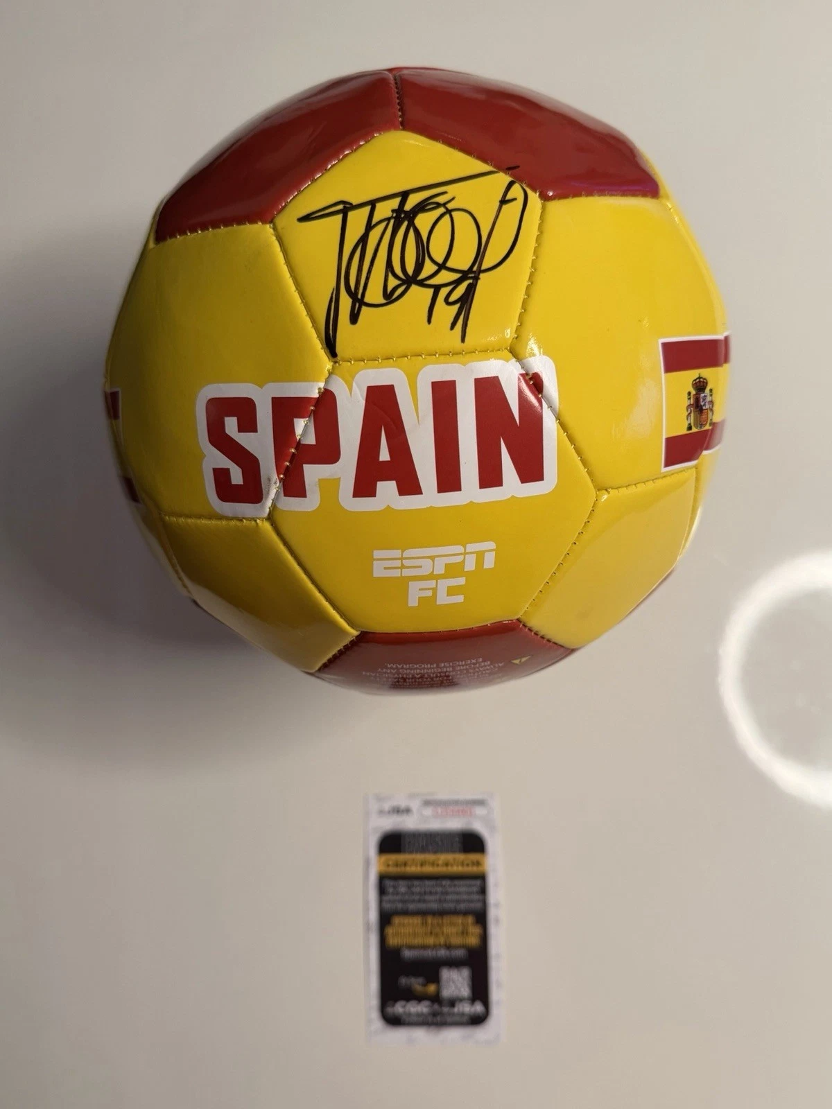 Fernando Llorente Autographed Spain Soccer Ball 2010 World Cup JSA COA