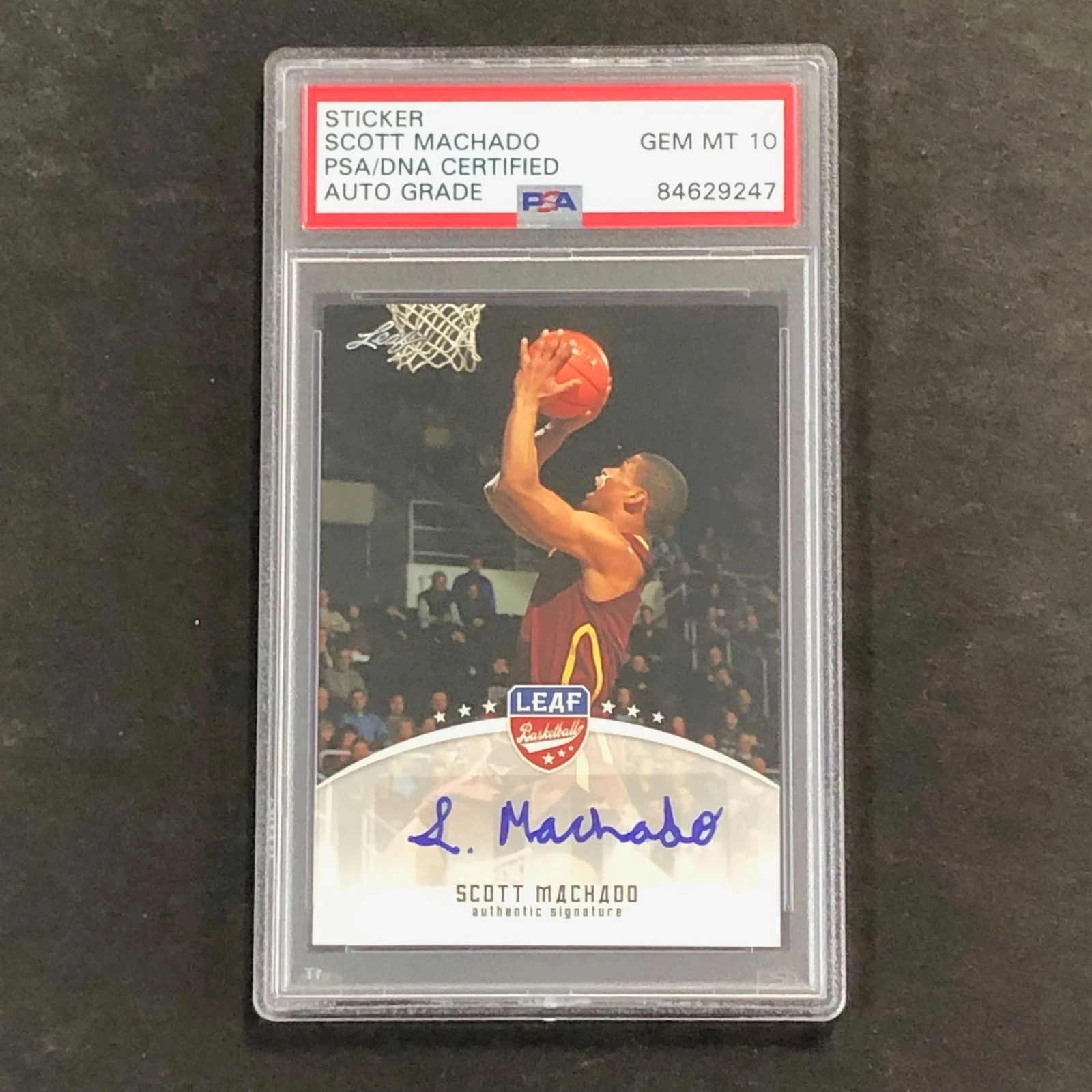 2012-13 Leaf Basketball #SM1 Scott Machado Signed Card AUTO 10 PSA Slabbed Brazi