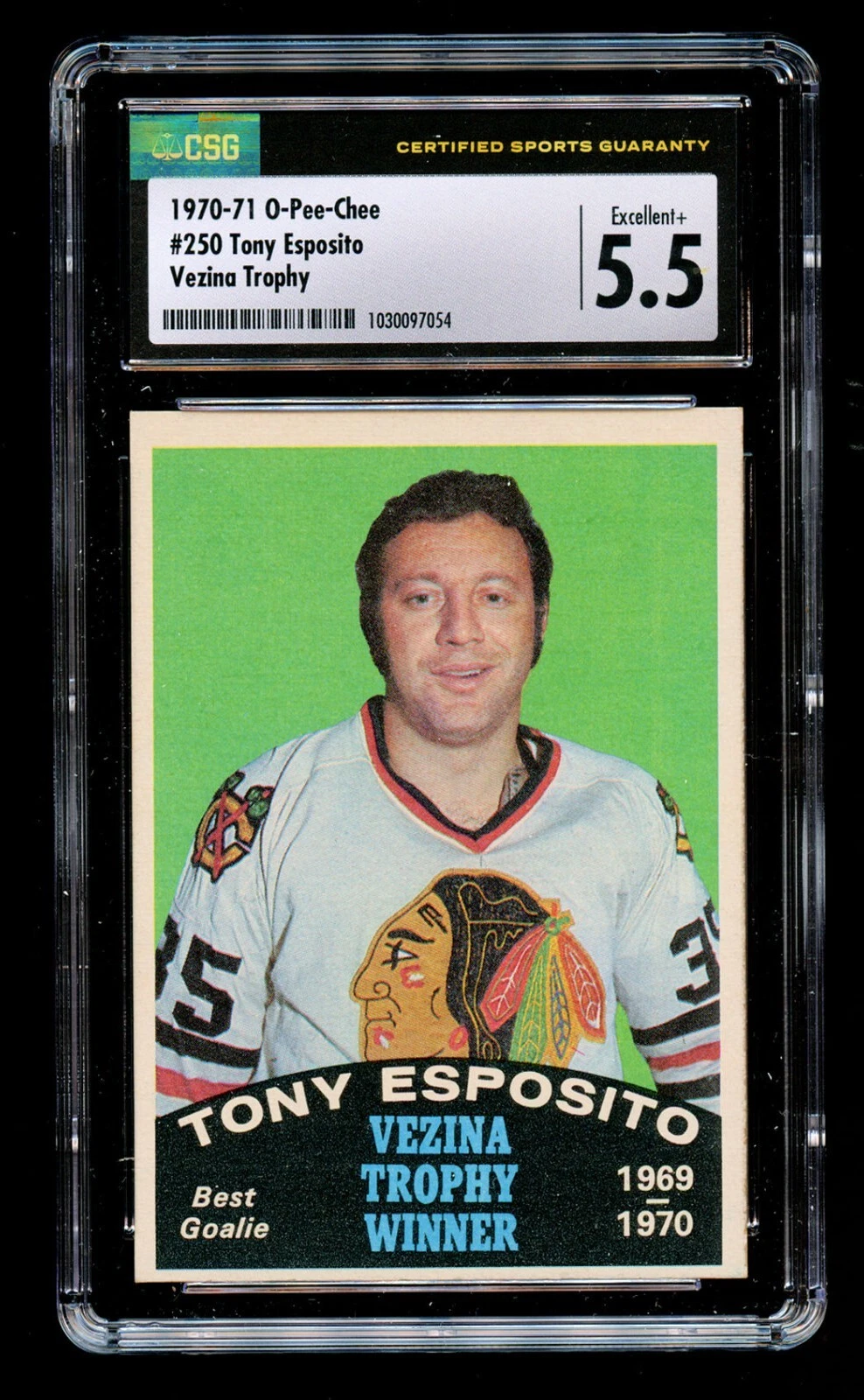 Tony Esposito #250 O-Pee-Chee 1970-71 Hockey Vezina Trophy Best Goalie CSG 5.5