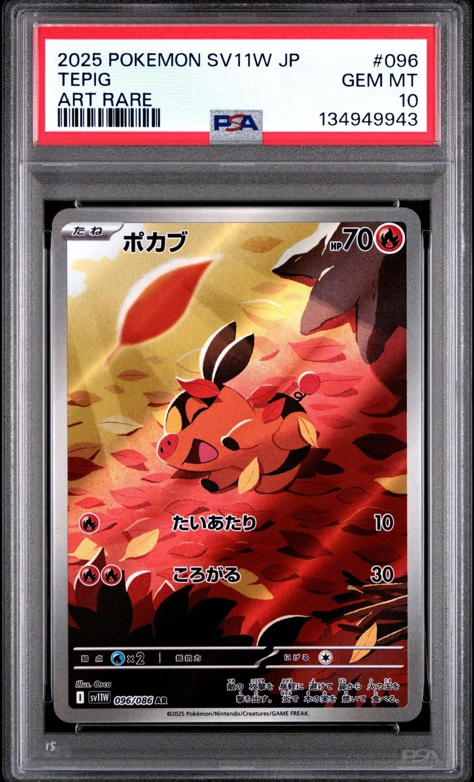 Graded 2025 Pokemon Japanese Tepig 096 SV11W Trading Card PSA 10 Gem Mint